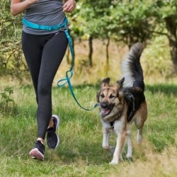 Trixie Bauchgurt mit Leine für kleine und mittelgroße Hunde