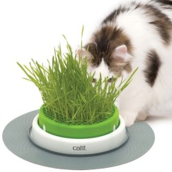 CATIT Senses 2,0 Grastopf - Grass Planter