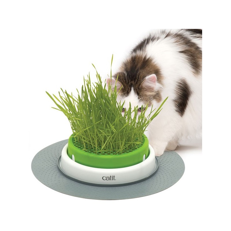 CATIT Senses 2,0 Grastopf - Grass Planter