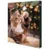 Trixie PREMIO Adventskalender für Katzen