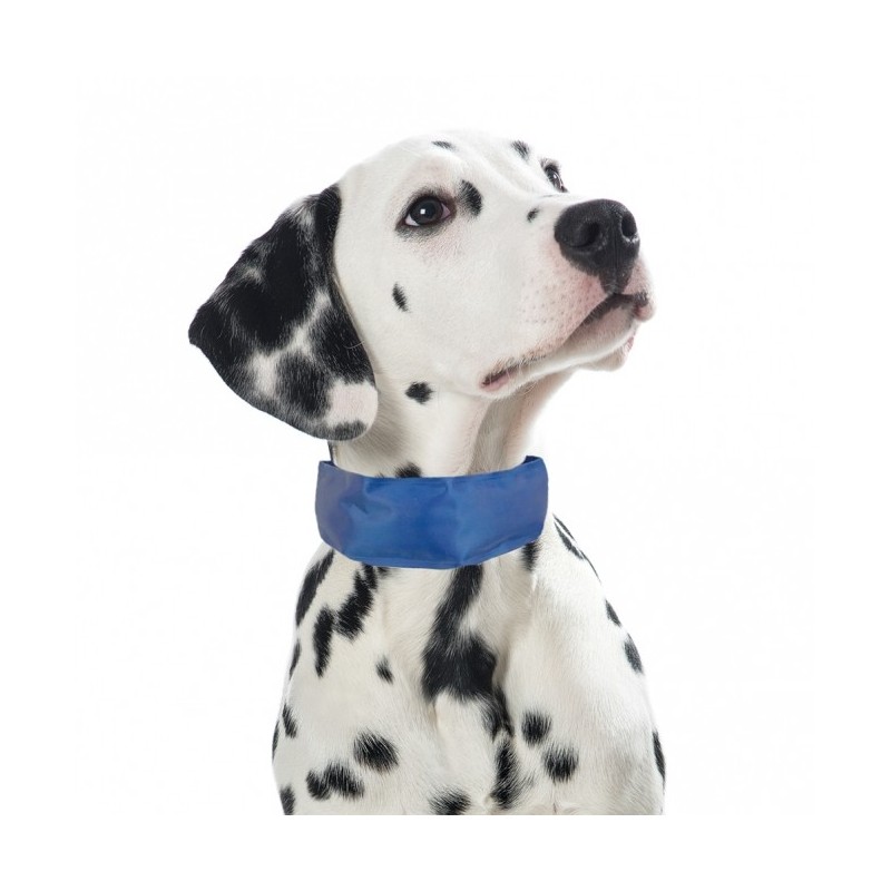 PROCYON Kühl-Bandana für Hunde - L