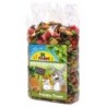 JR Farm Früchte-Traum 200g