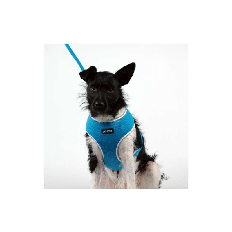 Pet-Star Softgeschirr / Netzgeschirr - Blau - XL
