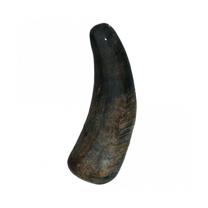 Viking half Horn - S Viking half Horn - S