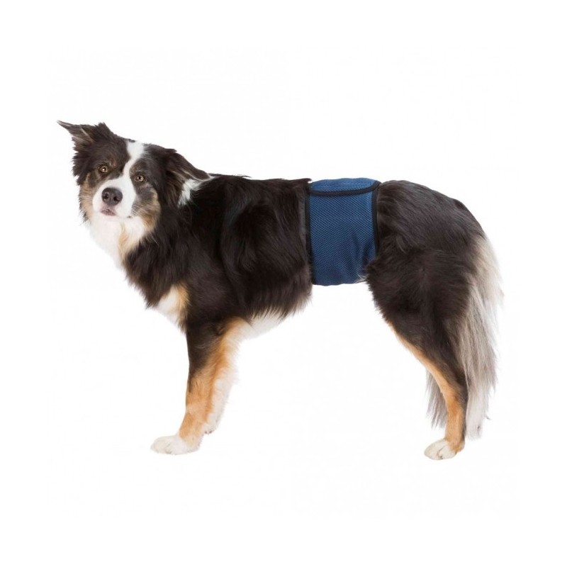 Trixie Windeln für Rüden, waschbar - XL / 65-75 cm