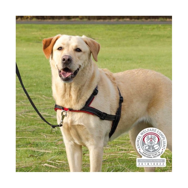 Trixie Trainingsgeschirr Lead'n'Walk Soft - M-L