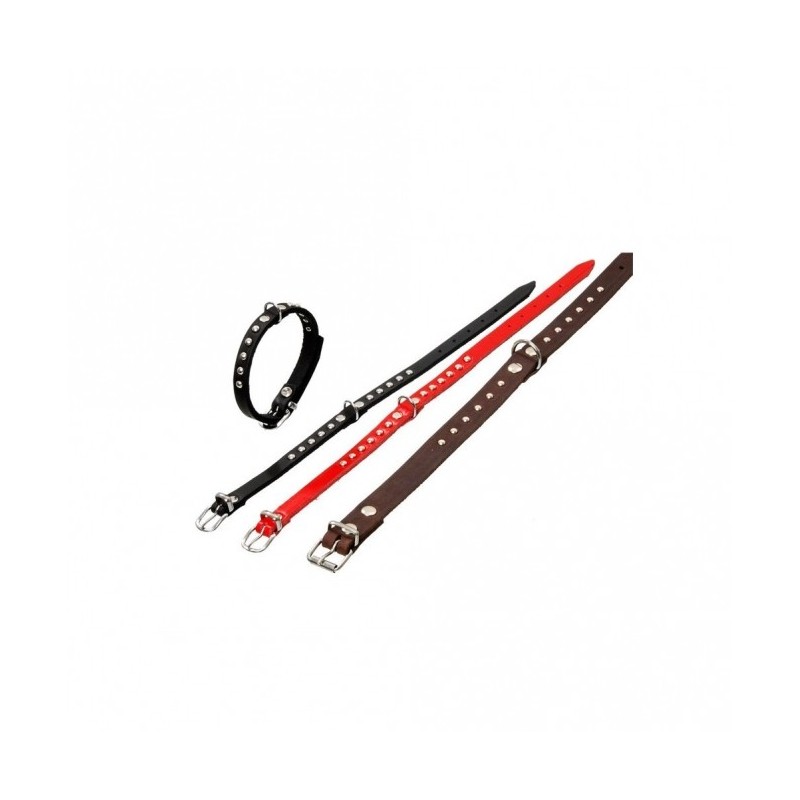 Karlie RONDO Halsband mit Ziernieten - Rot - 37cm / 12mm