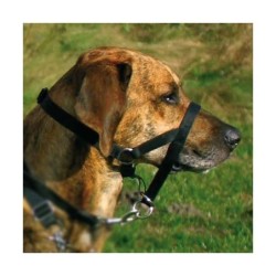 Trixie Top Trainer Ausbildungsgeschirr - max, 27 cm