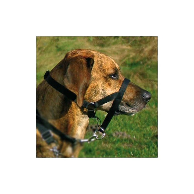 Trixie Top Trainer Ausbildungsgeschirr - max, 27 cm