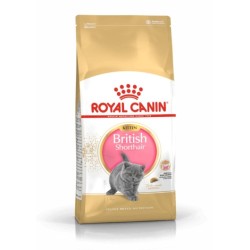 Royal Canin Feline Kitten British Shorthair - 2 kg