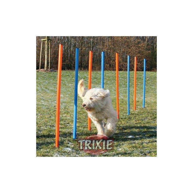 Trixie Agility Slalom